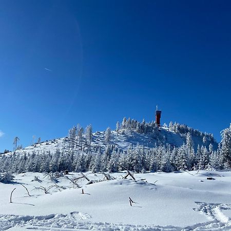 Bergtraum Braunlage Im Harz, 17 Gaeste, Sauna, Pool Vila Exterior foto