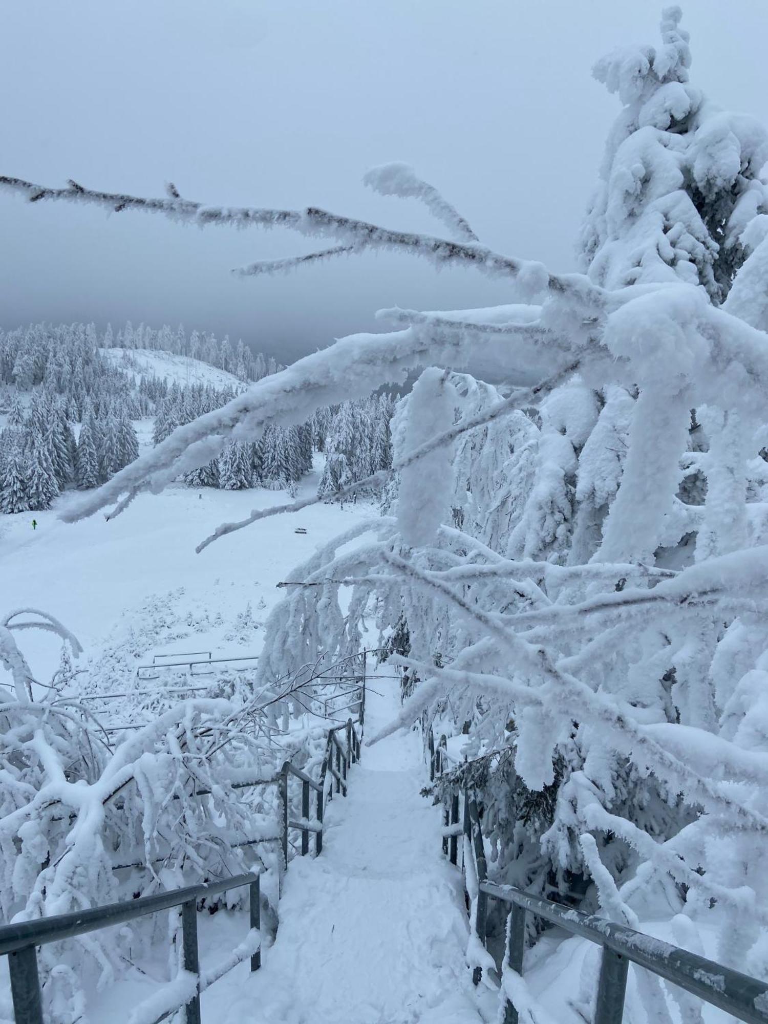 Bergtraum Braunlage Im Harz, 17 Gaeste, Sauna, Pool Vila Exterior foto
