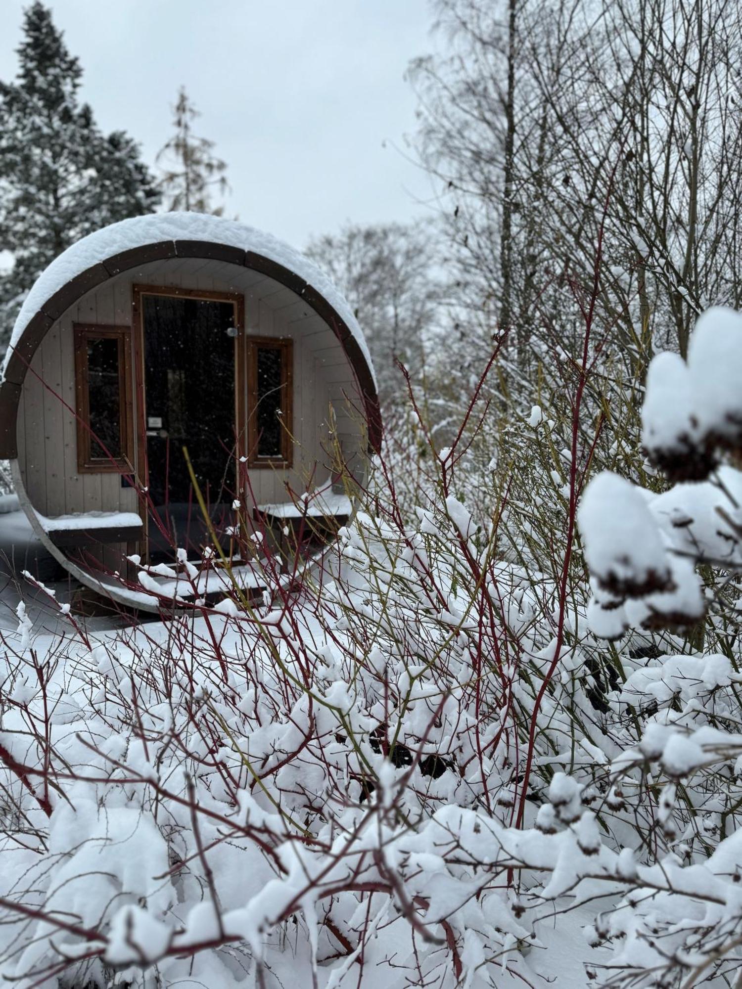 Bergtraum Braunlage Im Harz, 17 Gaeste, Sauna, Pool Vila Exterior foto